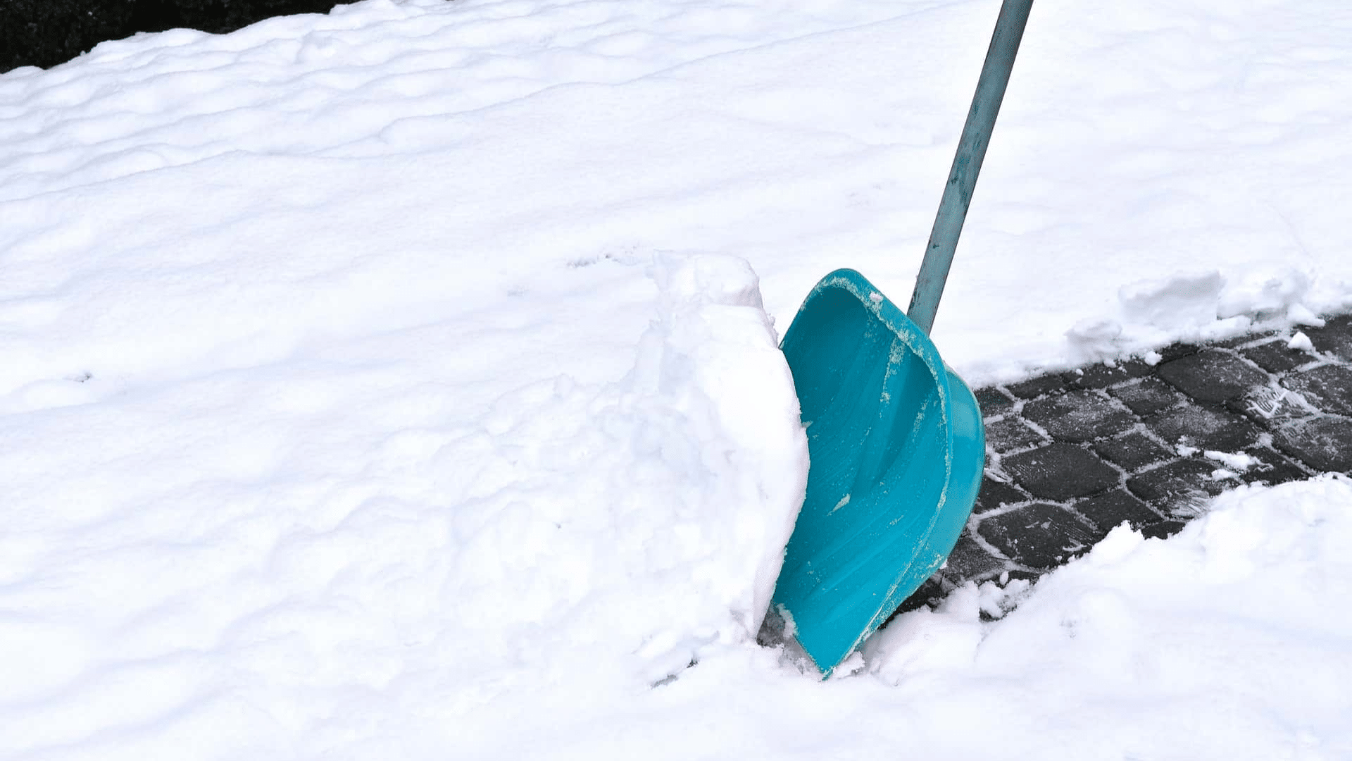 Snow Removal Cost in 2025