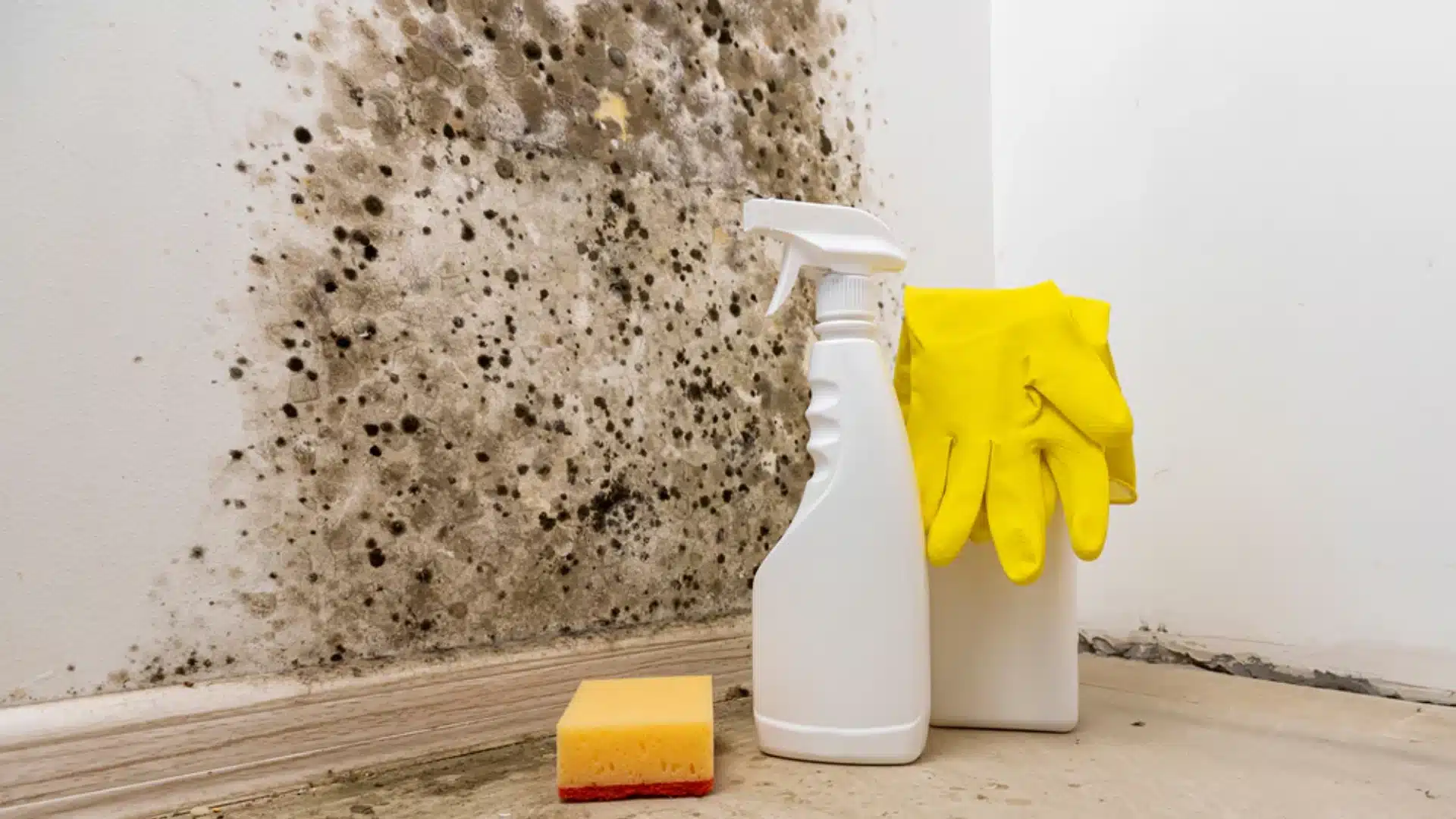 Black mold growth on a white wall corner next to cleaning supplies including a spray bottle, sponge, and yellow rubber gloves