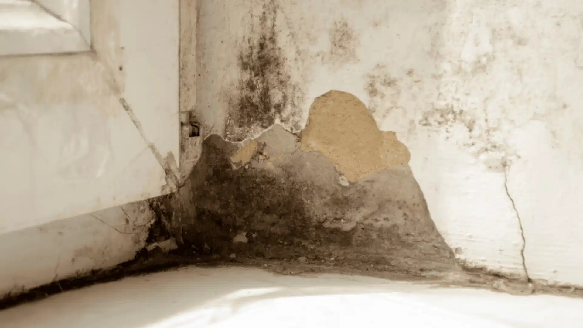 Severe mildew growth and peeling plaster on a damp interior wall corner next to a window frame