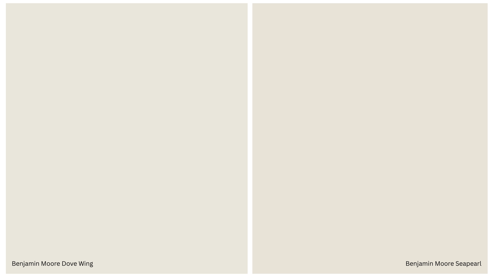 Side-by-side comparison of Benjamin Moore paint colors Dove Wing on the left and Seapearl on the right