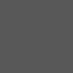 Solid deep charcoal gray color swatch with a smooth matte appearance and no visible texture or pattern.